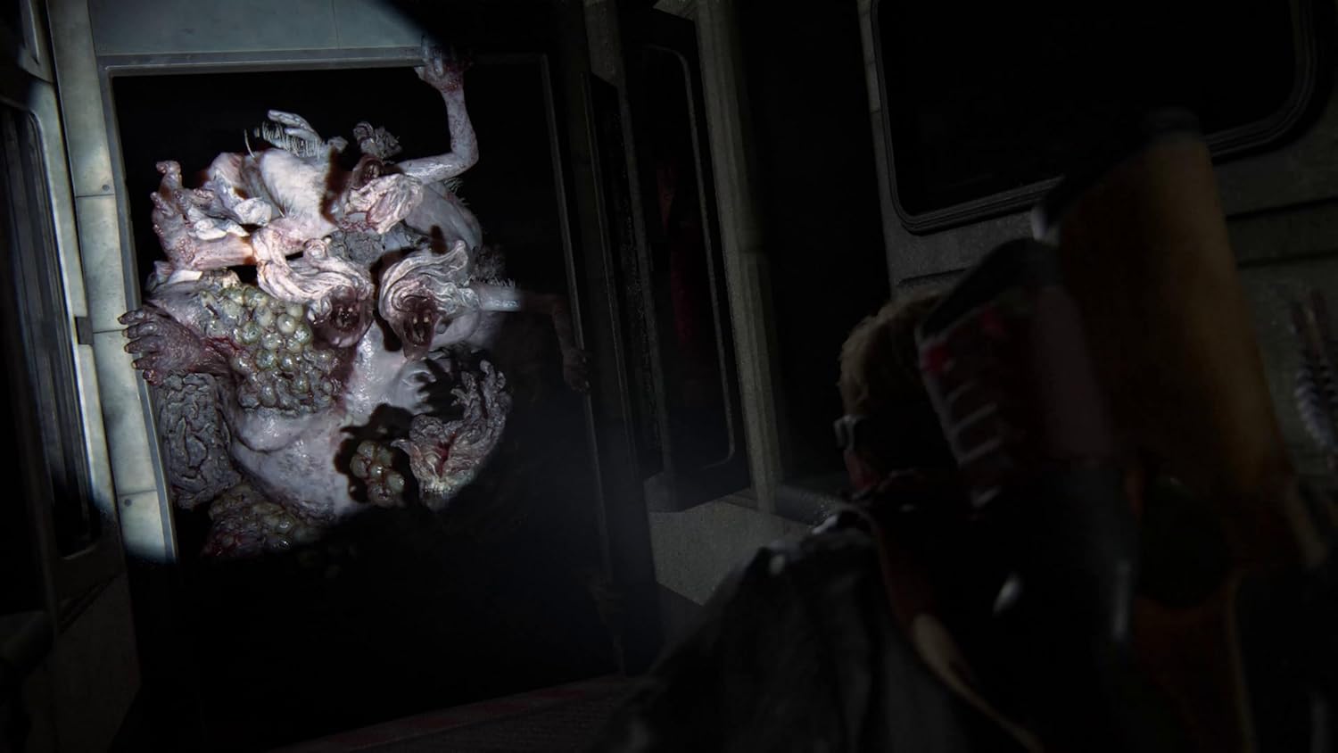 The Last Of Us Part II Remastered (Europeo) - Screenshot 6 The Last Of Us Part II Remastered (Europeo) - Screenshot 6
