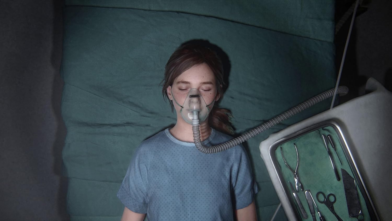 The Last Of Us Part II Remastered (Europeo) - Screenshot 1 The Last Of Us Part II Remastered (Europeo) - Screenshot 1