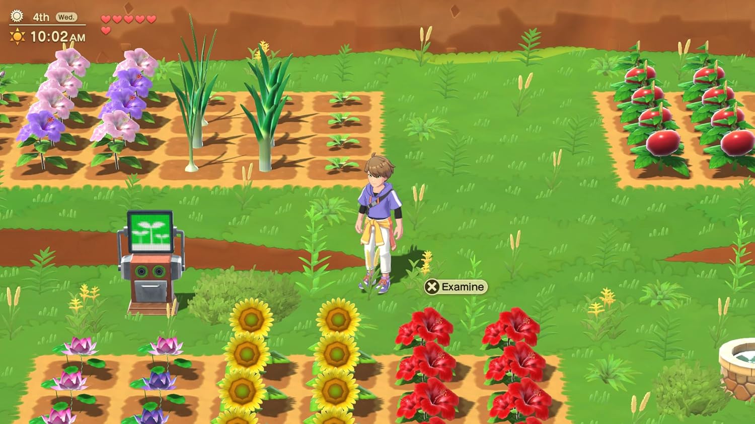 Harvest Moon: Home Sweet Home Special Edition - Screenshot 1 Harvest Moon: Home Sweet Home Special Edition - Screenshot 1