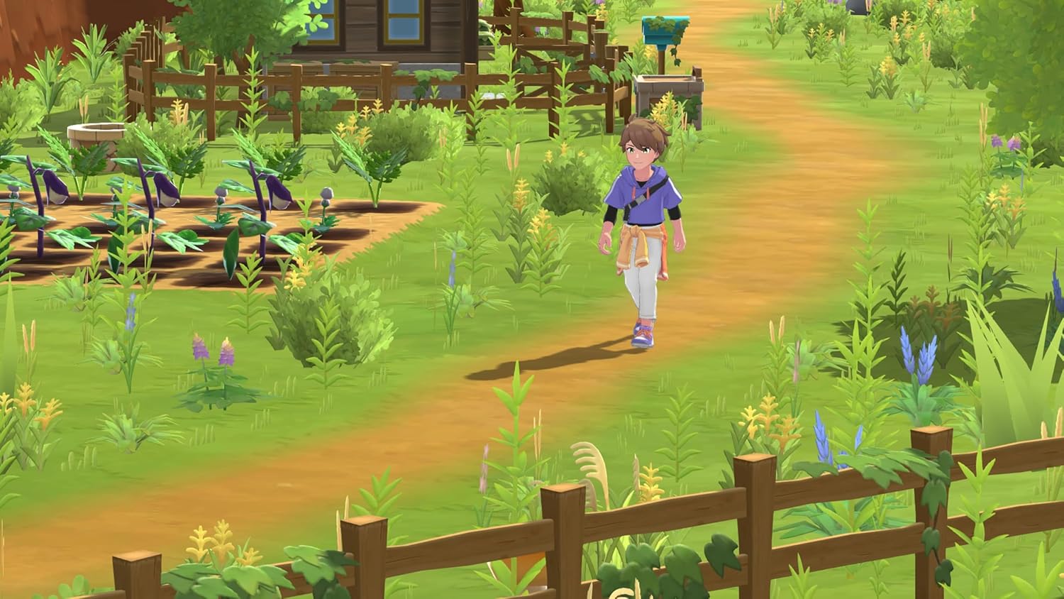 Harvest Moon: Home Sweet Home Special Edition - Screenshot 3 Harvest Moon: Home Sweet Home Special Edition - Screenshot 3