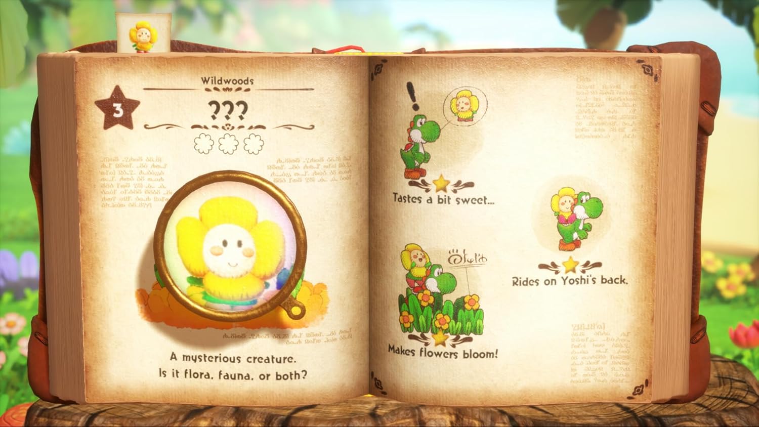 Yoshi And The Mysterious Book (Preventa) - Screenshot 6 Yoshi And The Mysterious Book (Preventa) - Screenshot 6