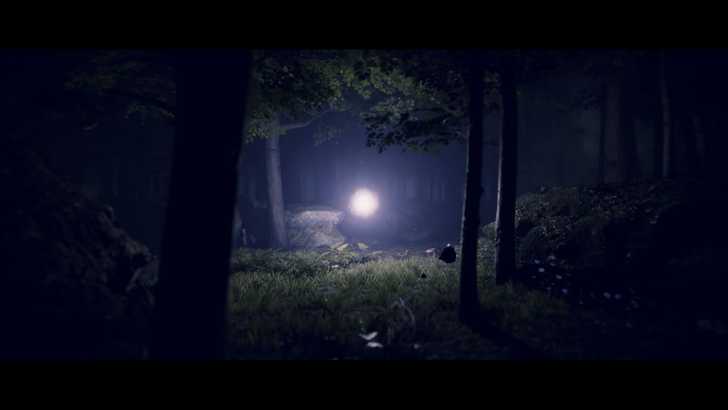 Project Songbird (Preventa) - Screenshot 3 Project Songbird (Preventa) - Screenshot 3