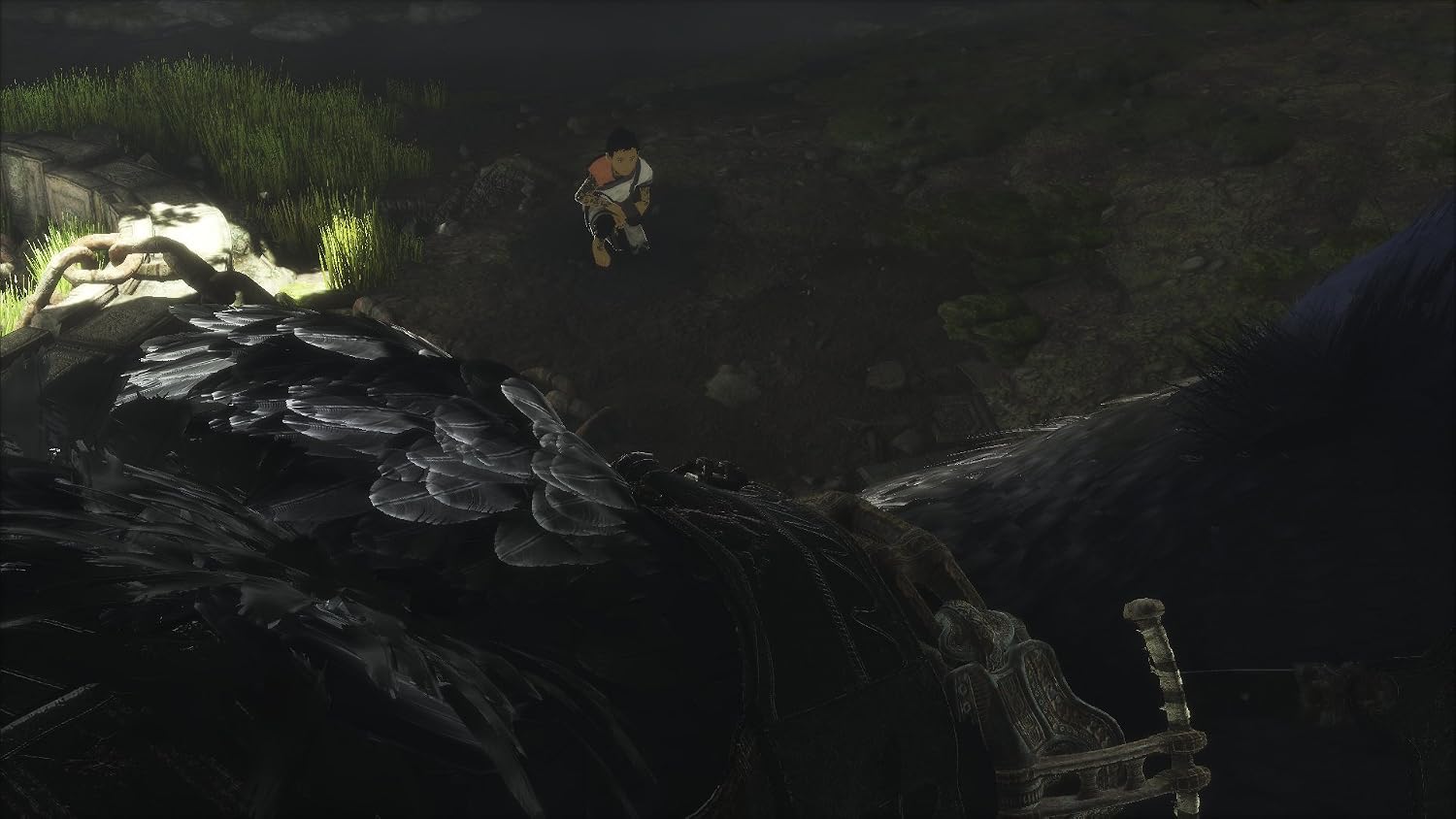The Last Guardian (Europeo) - Screenshot 1 The Last Guardian (Europeo) - Screenshot 1