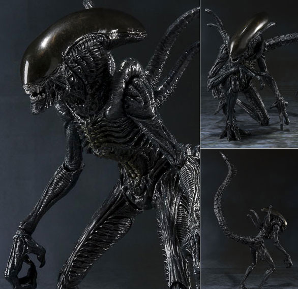 Figura Alien Vs Predator: Alien Warrior (S.H. Monsterarts) 