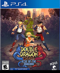 Double Dragon Gaiden: Rise Of The Dragons