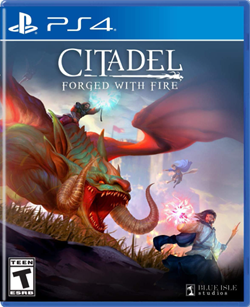 Citadel Forged With Fire